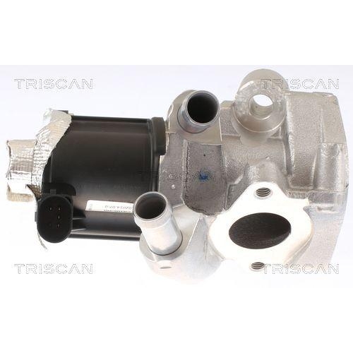 AGR-Ventil TRISCAN 8813 14006 für NISSAN INFINITI