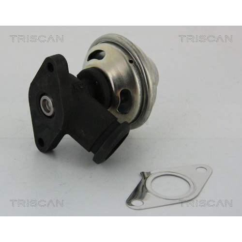 AGR-Ventil TRISCAN 8813 28042 für ALFA ROMEO CITROËN FIAT LANCIA PEUGEOT