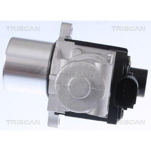 AGR-Ventil TRISCAN 8813 29015 für AUDI VW