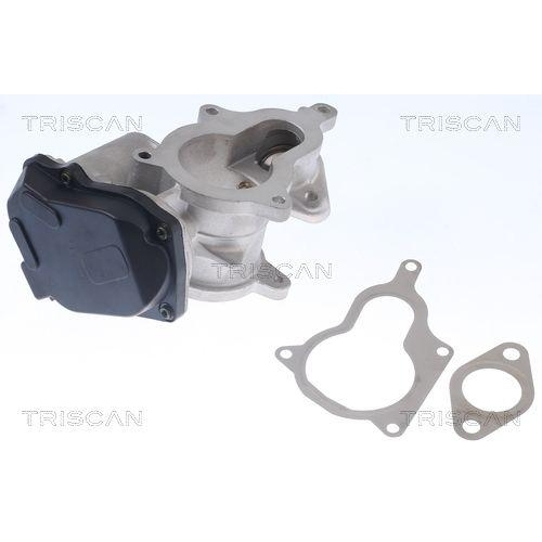 AGR-Ventil TRISCAN 8813 29019 für AUDI VW