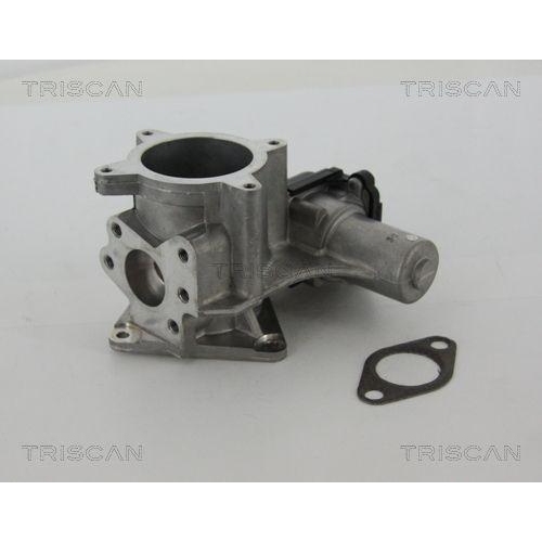 AGR-Ventil TRISCAN 8813 29105 für VW