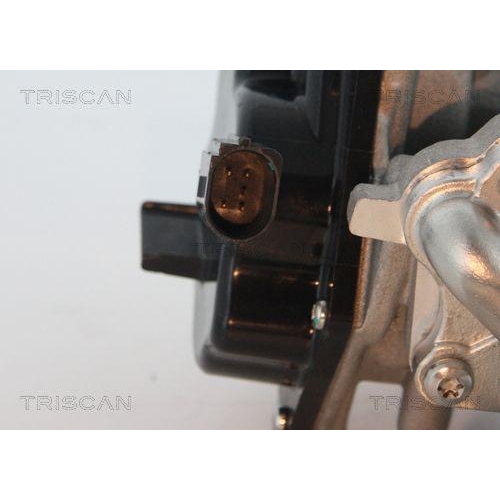 AGR-Ventil TRISCAN 8813 29305 für VW