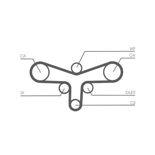 Zahnriemensatz CONTINENTAL CTAM CT920K1 für AUDI