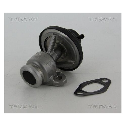 AGR-Ventil TRISCAN 8813 29307 für VW