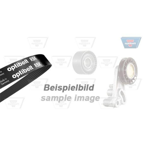 Keilrippenriemensatz OPTIBELT 6 DPK 1195KT1 Optibelt-RBK KIT für