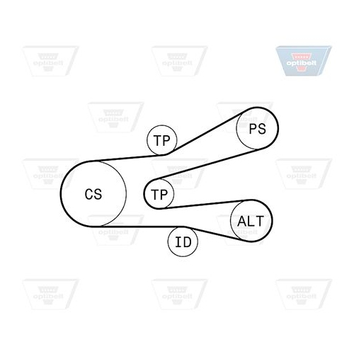 Keilrippenriemensatz OPTIBELT 6 PK 1440KT1 Optibelt-RBK KIT für