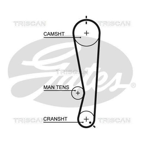 Zahnriemensatz TRISCAN 8647 41002 für