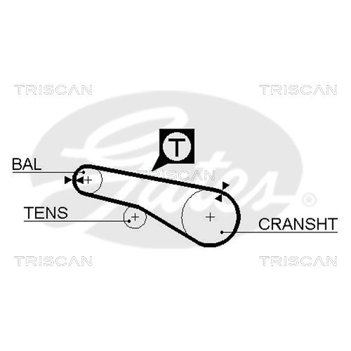 Zahnriemensatz TRISCAN 8647 42001 für