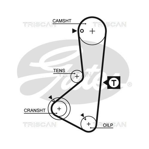 Zahnriemensatz TRISCAN 8647 42012 für