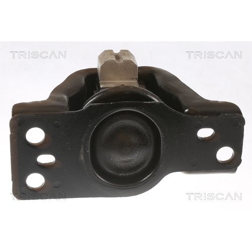 Lagerung, Motor TRISCAN 8505 14100 für NISSAN, rechts, vorne