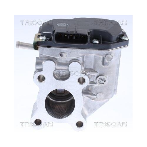 AGR-Ventil TRISCAN 8813 14015 für NISSAN