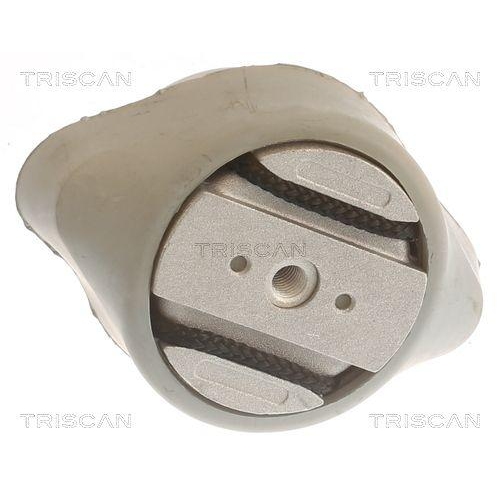 Lagerung, Automatikgetriebe TRISCAN 8505 29201 für AUDI SEAT SKODA VW, hinten