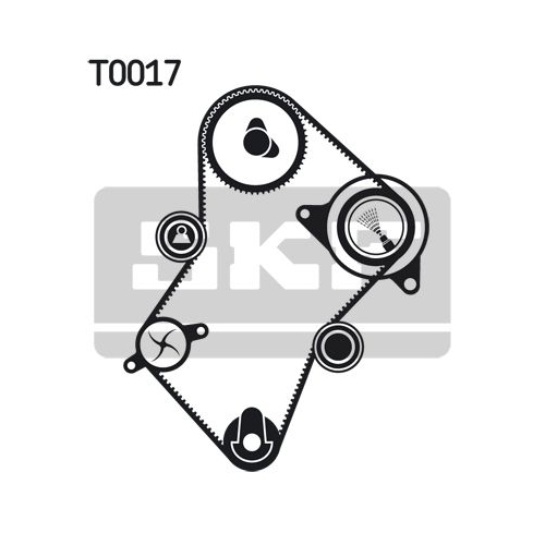 Wasserpumpe + Zahnriemensatz SKF VKMC 03244 für CITROËN FIAT LANCIA PEUGEOT