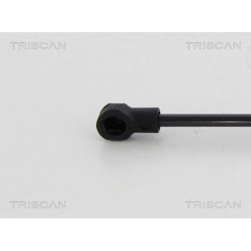 Gasfeder, Verdeck TRISCAN 8710 38242 für CITROËN