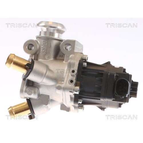 AGR-Ventil TRISCAN 8813 15076 für FIAT