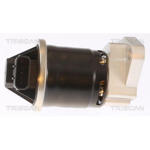 AGR-Ventil TRISCAN 8813 40003 für HONDA