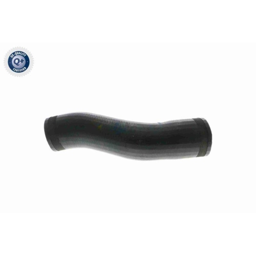 Ladeluftschlauch VAICO V10-3773 Q+, Erstausrüsterqualität für AUDI SEAT SKODA VW