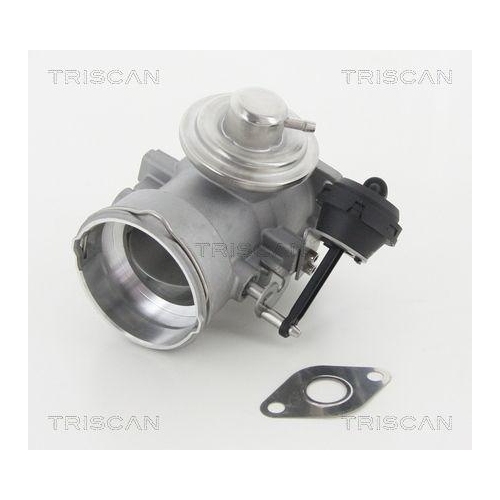 AGR-Ventil TRISCAN 8813 29056 für VW