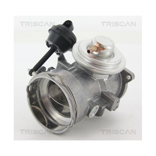 AGR-Ventil TRISCAN 8813 29070 für VW