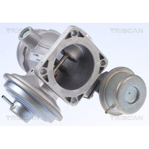 AGR-Ventil TRISCAN 8813 10034 für CHRYSLER