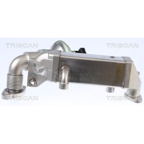 AGR-Ventil TRISCAN 8813 11009 für BMW