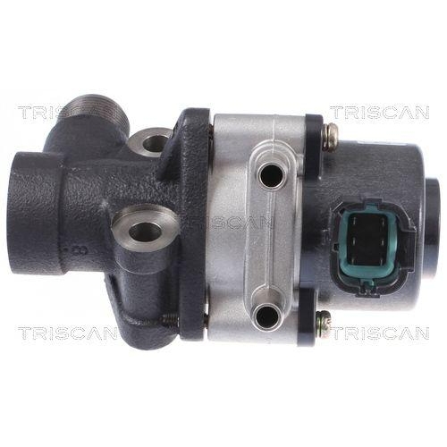 AGR-Ventil TRISCAN 8813 14026 für NISSAN