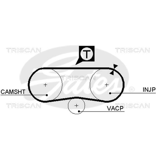 Zahnriemen TRISCAN 8645 5134 für SEAT VW DANA