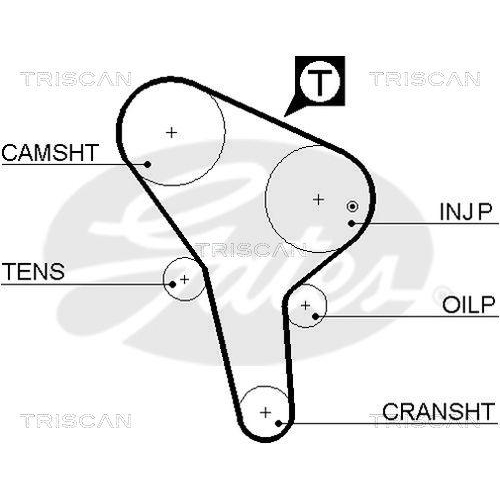 Zahnriemen TRISCAN 8645 5176 für AUDI VW DANA