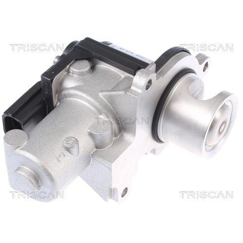 AGR-Ventil TRISCAN 8813 29338 für AUDI PORSCHE VW, beidseitig