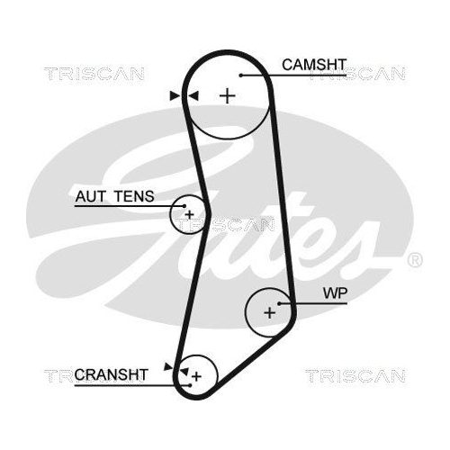 Zahnriemensatz TRISCAN 8647 15041 für FIAT