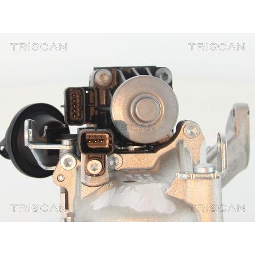 AGR-Ventil TRISCAN 8813 10103 für CITROËN FORD PEUGEOT VOLVO