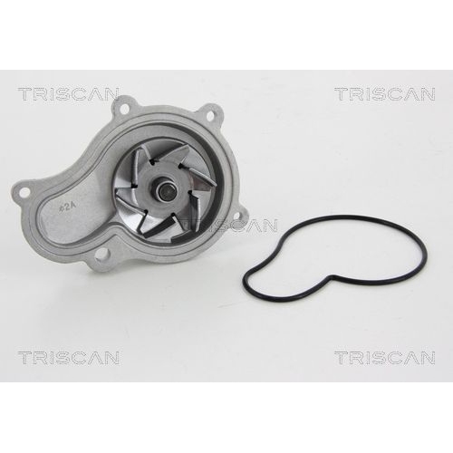 Wasserpumpe TRISCAN 8600 80011 für CHRYSLER JEEP