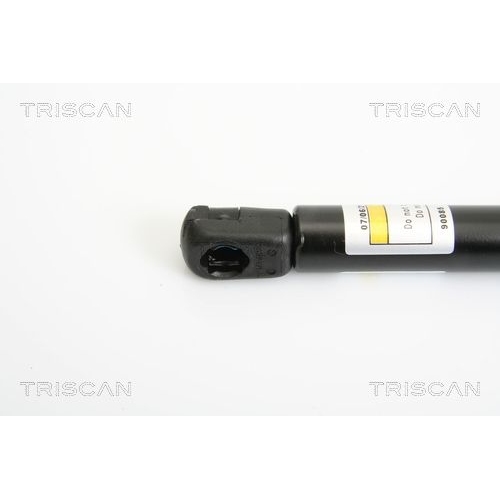 Gasfeder, Koffer-/Laderaum TRISCAN 8710 38219 für CITROËN