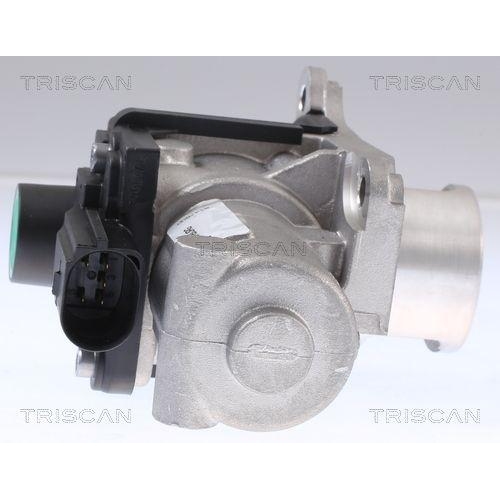 AGR-Ventil TRISCAN 8813 29339 für VW