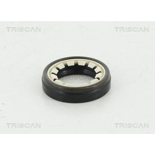 Wellendichtring, Differential TRISCAN 8550 10043 für CITROËN FIAT PEUGEOT