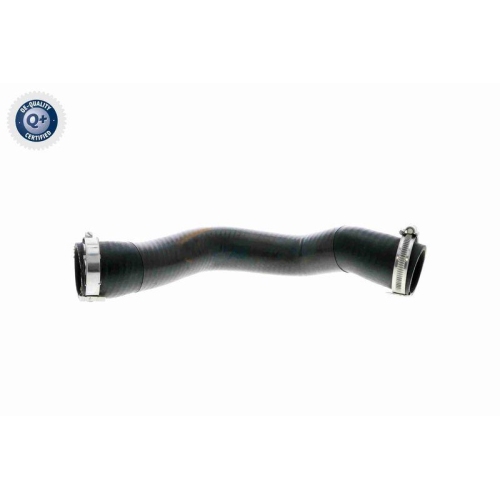 Ladeluftschlauch VAICO V10-3796 Q+, Erstausrüsterqualität für AUDI SEAT SKODA VW