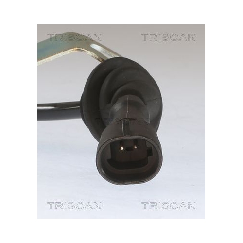 Sensor, Raddrehzahl TRISCAN 8180 80123 für FORD USA