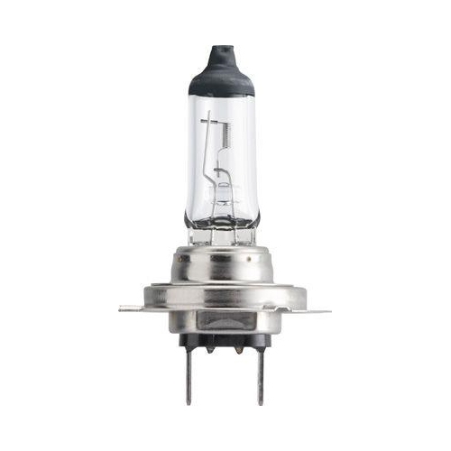 Glühlampe PHILIPS 13972MDB1 MasterDuty für AEBI AUWÄRTER DAF FIAT FORD MACK MAN