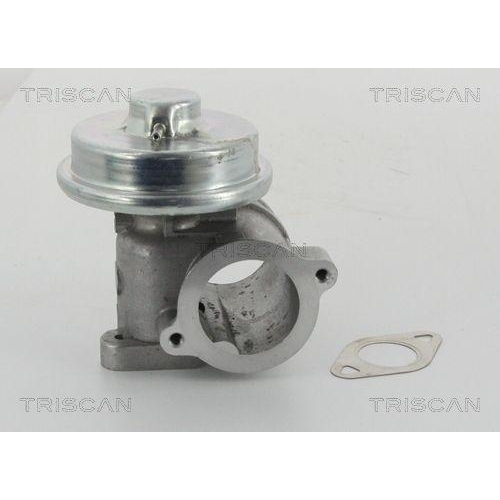 AGR-Ventil TRISCAN 8813 16010 für FORD