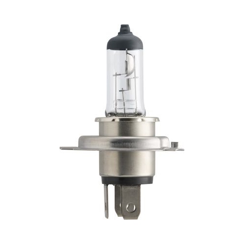 Glühlampe PHILIPS 13342MDC1 MasterDuty für AEBI AUWÄRTER DAF FIAT MACK MAN VOLVO