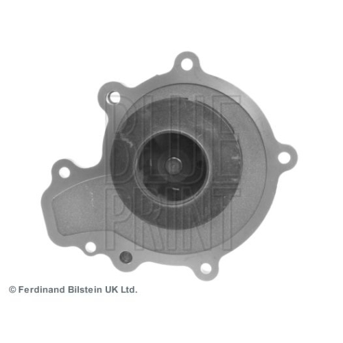 Blue Print 1x ADG09176CBP Wasserpumpe mit Dichtung