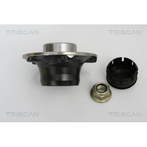 Radlagersatz TRISCAN 8530 25248 für RENAULT, Hinterachse