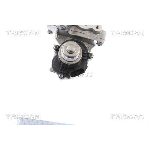 AGR-Ventil TRISCAN 8813 16005 für FORD FORD USA