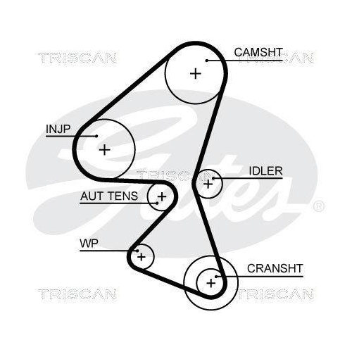 Zahnriemensatz TRISCAN 8647 10081 für CITROËN FORD PEUGEOT