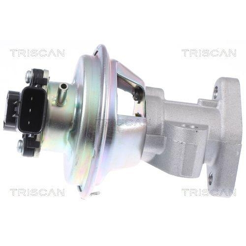 AGR-Ventil TRISCAN 8813 16069 für FORD FORD USA