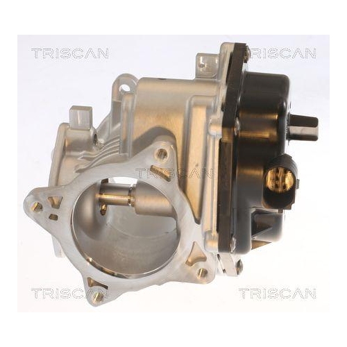 AGR-Ventil TRISCAN 8813 29348 für VW