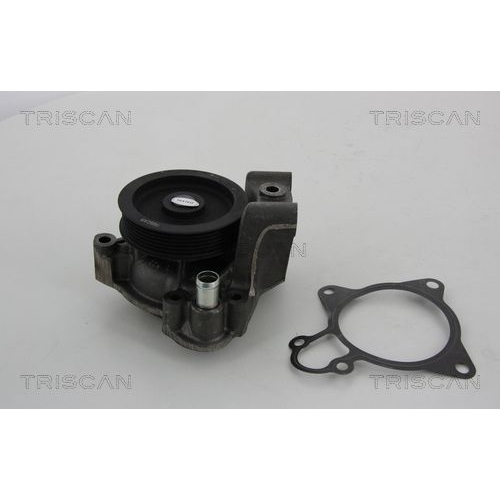 Wasserpumpe, Motorkühlung TRISCAN 8600 10031 für CITROËN FIAT PEUGEOT