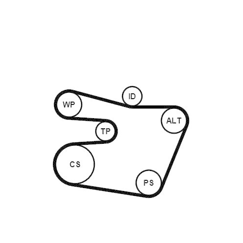 Keilrippenriemensatz CONTINENTAL CTAM 6PK1538K1