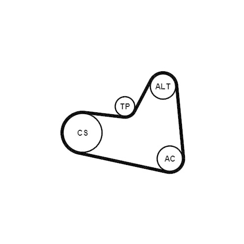 Keilrippenriemensatz CONTINENTAL CTAM 6PK976K1 für CITROËN PEUGEOT