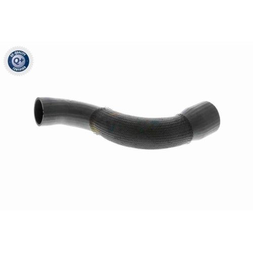 Ladeluftschlauch VAICO V10-3831 Q+, Erstausrüsterqualität für AUDI SEAT SKODA VW